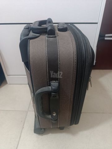 מזבדה