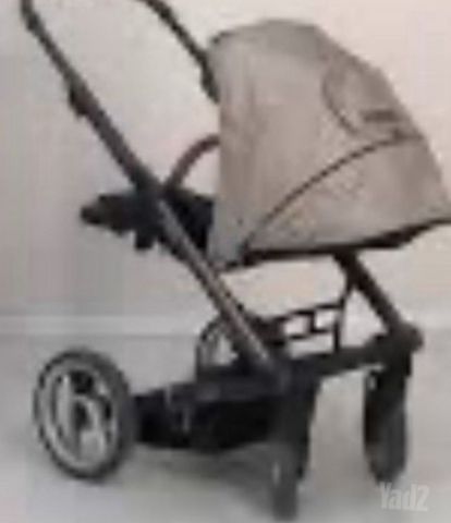עלגת מוצי