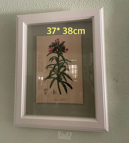 תמונות