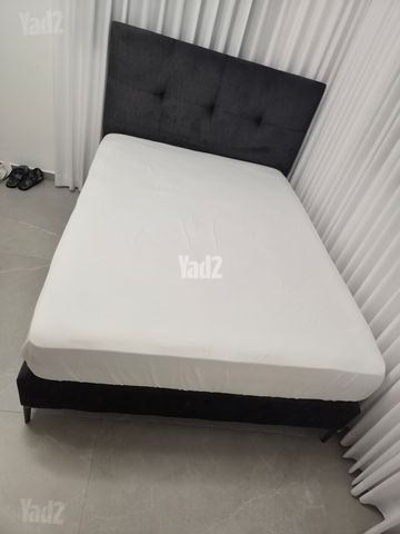 מיטה