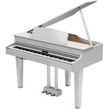 Roland GP-607