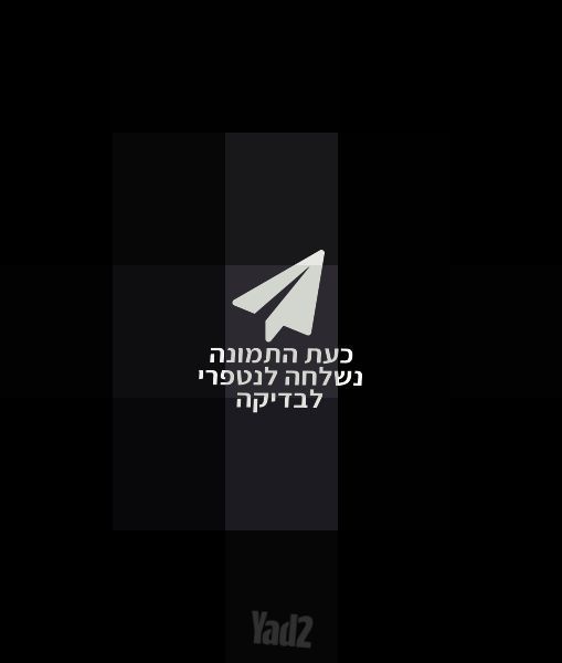 נגן טייפון (typhoon) חדש