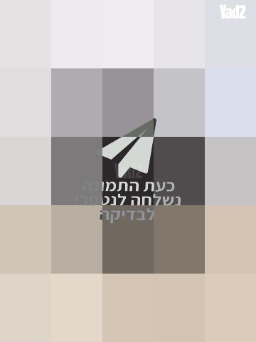 תיק מקורי דונה