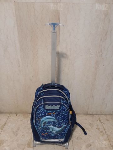תיק בית ספר דולפינים