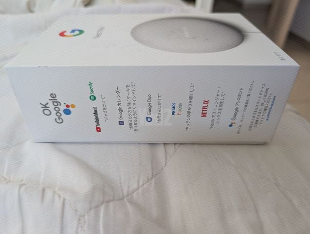 גוגל נסט