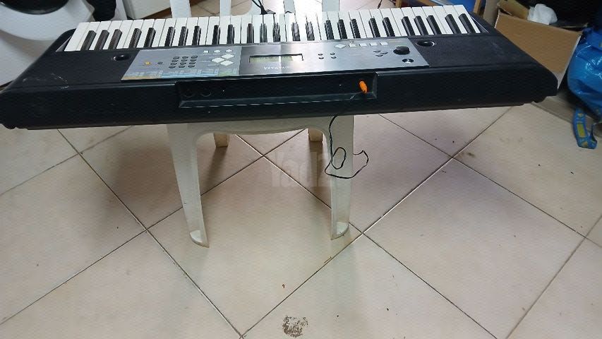 אורגנית