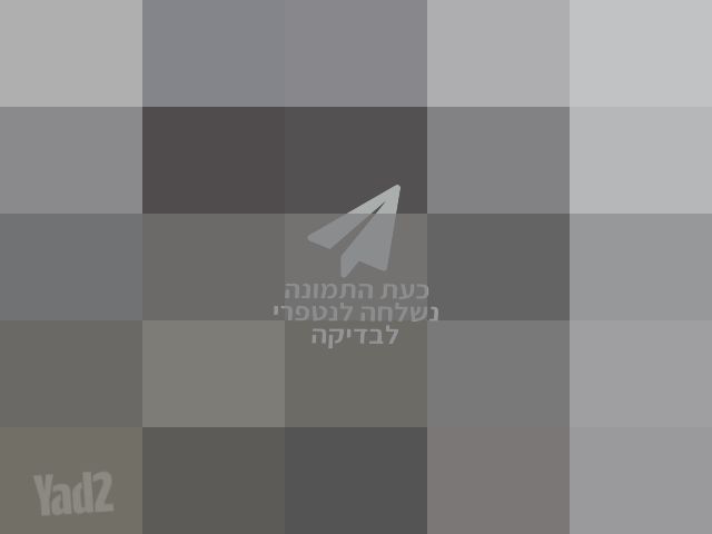 מכשיר הליכה חדש ממש דגם TORO
