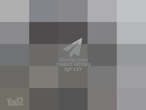 מכשיר הליכה חדש ממש דגם TORO