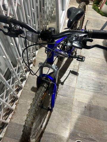 אופני ראלי