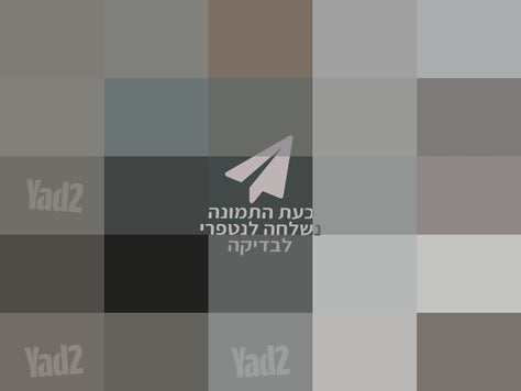 עגלת תינוק