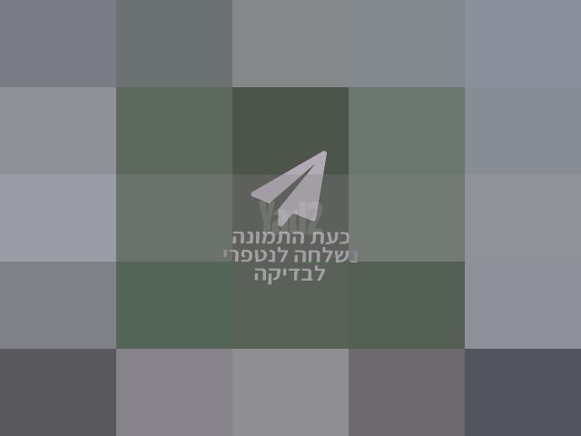 מפיץ ריח לבית