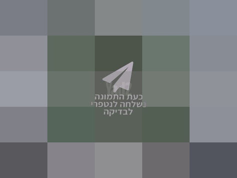 מפיץ ריח לבית