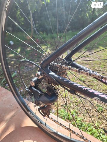 Merida lampre
