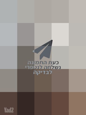 מיחם מים
