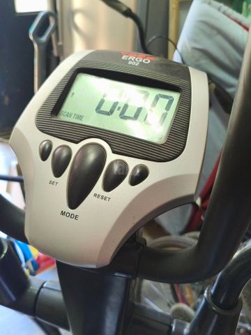 אלפטיקל