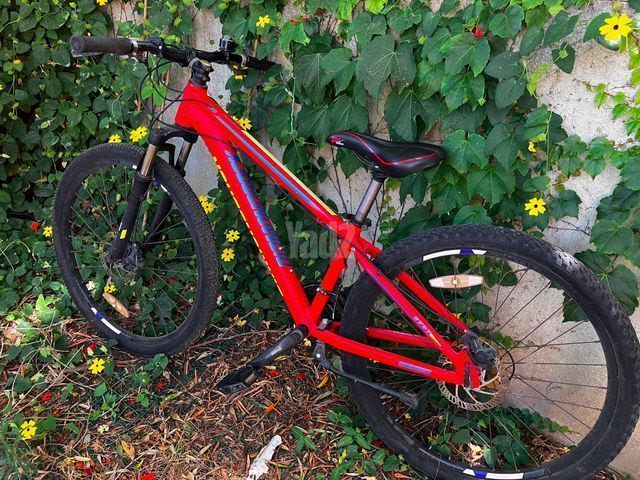 אופני הרים Diamondback