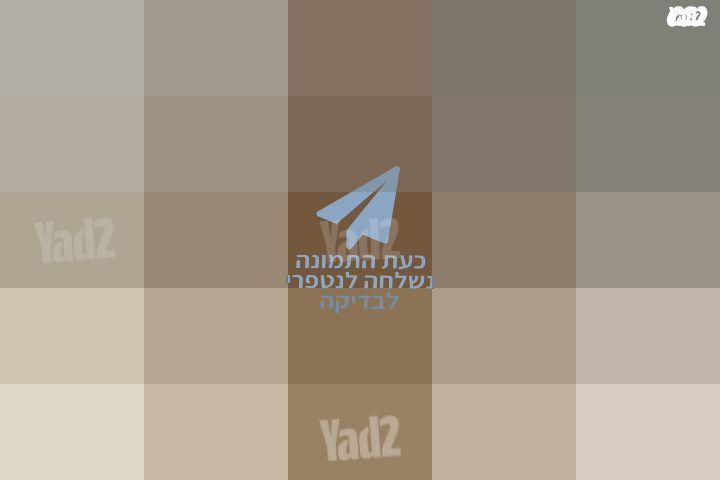 פאה