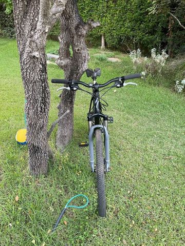 אופני specialized 26