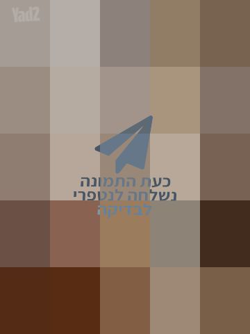 עמודון לספרים