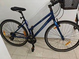 Trek fx1