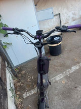 נאמי קאלימה