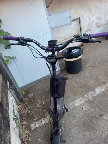 נאמי קאלימה