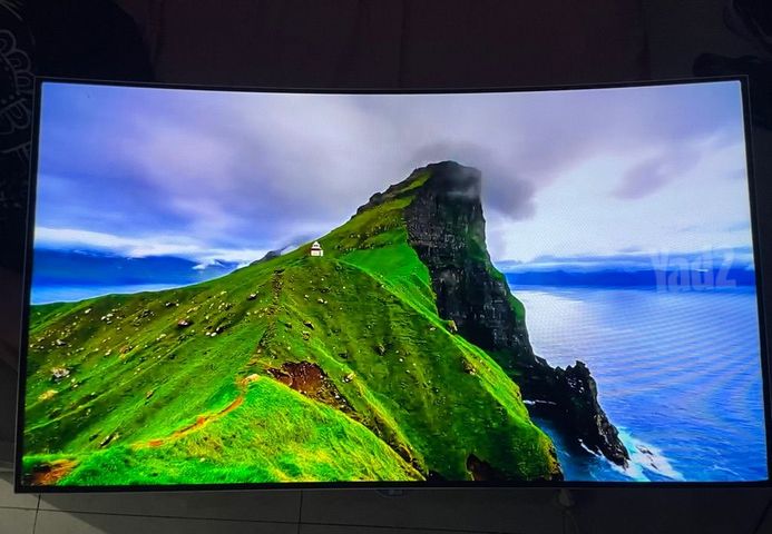 OLED 55