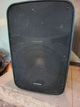 רמקולים  1000w. של SAMSON