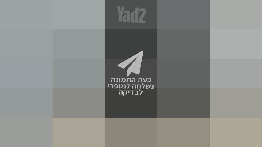 בוקסה מקצועית