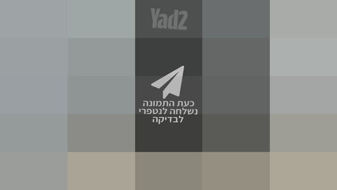 בוקסה מקצועית