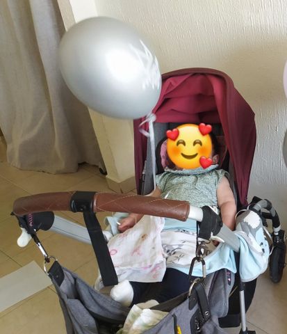 עגלת בוגבו