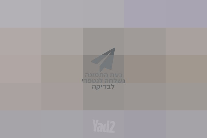 ציור תמונה