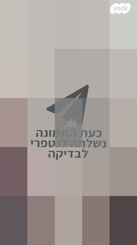 ש"ס טלמן