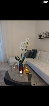 שולחן לסלון