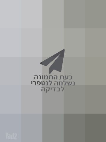 דלתות פנים