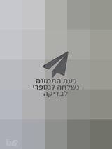 דלתות פנים
