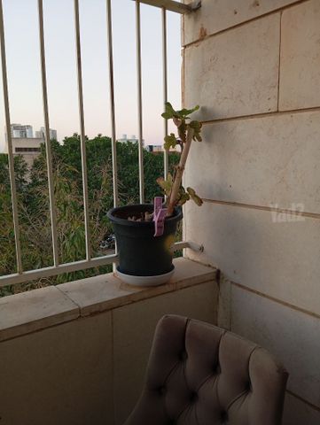 שתיל תאנה