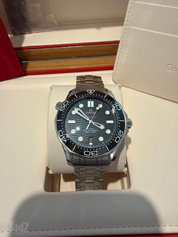 Omega Seamaster 2022