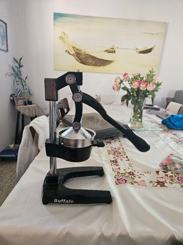 מסחטת buffalo