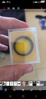 התמונה להמחה בלבד