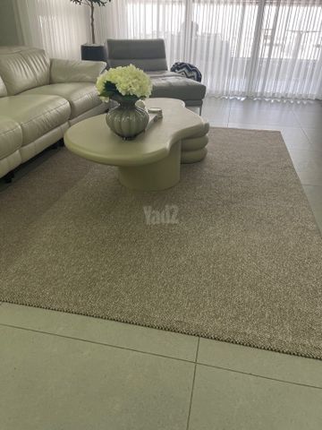 שטיח סלון
