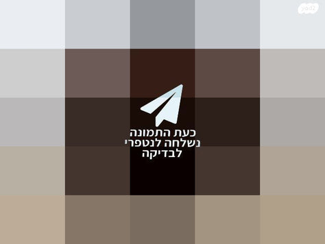 אורגן