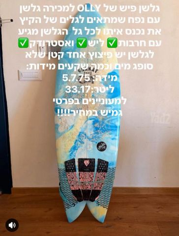 גלשן פיש של OLLY