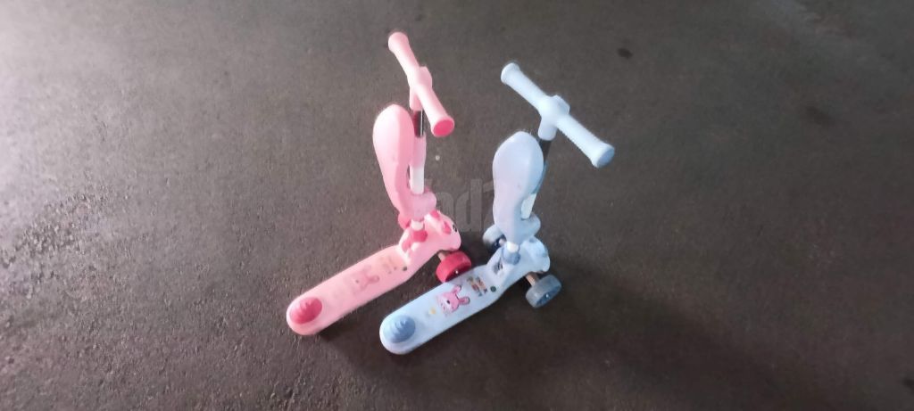 סקטור