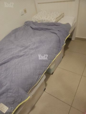 מיטת נוער