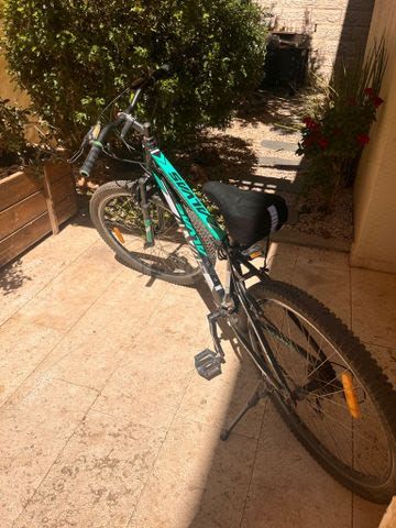 אופני שטח Alvas