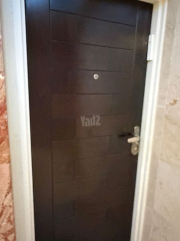 דלת פלדלת