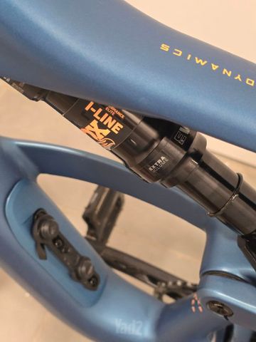 Orbea occam