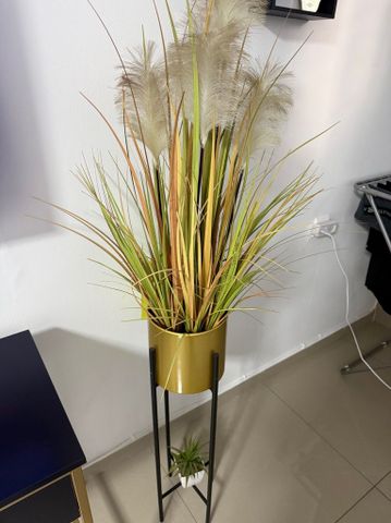 מעמד לעציץ