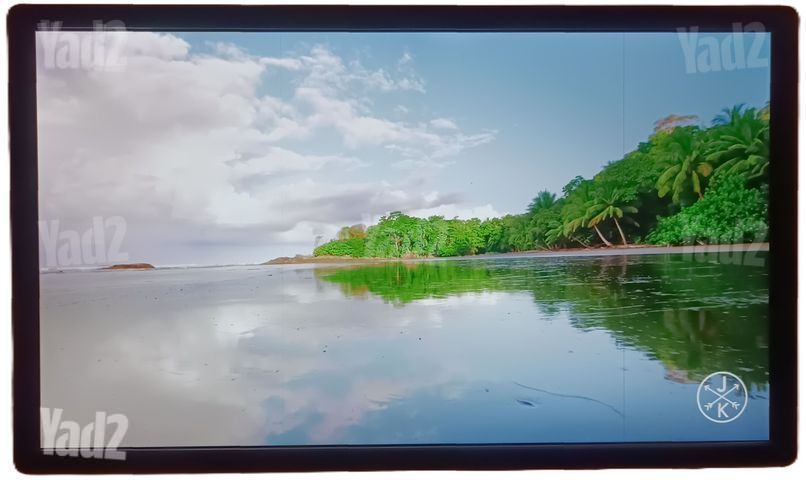 Dell 24 -QHD 2560 × 1440